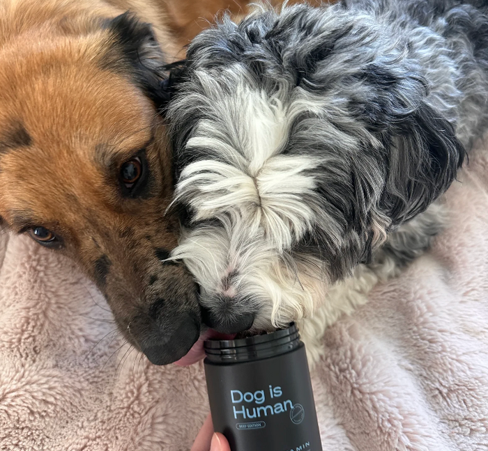 Millie & Annie