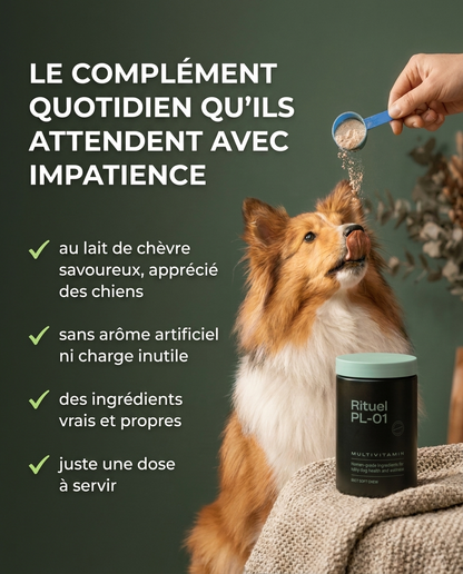 Rituel PL-01™ Multivitamines quotidiennes